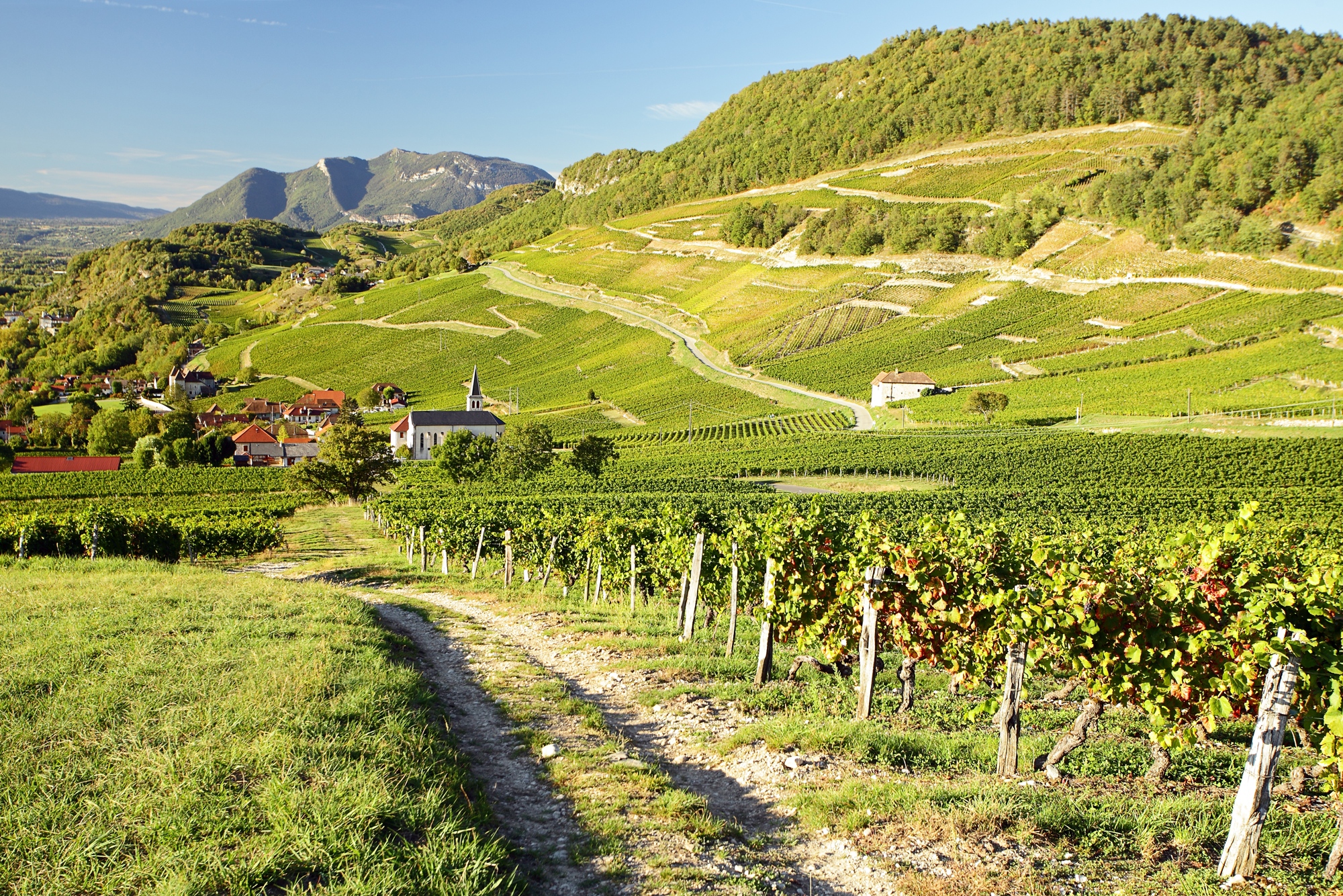 Village-Jongieux-et-coteau-Marestel