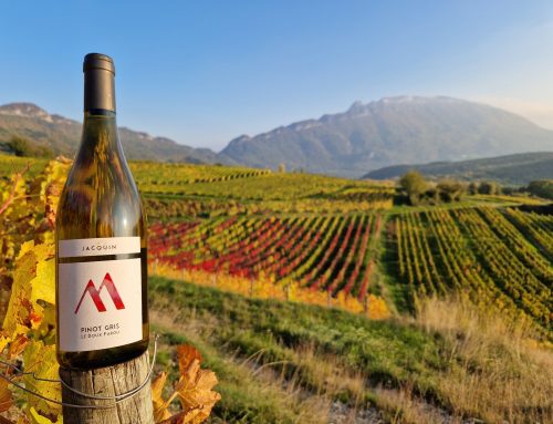 Où trouver nos vins cette fin d'année ?